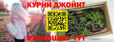 прущие грибы Шелехов