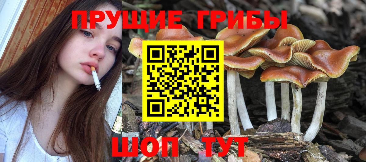 Реж  Галлюциногенные грибы ЛСД  Вход с VPN  Галлюциногенные грибы Psilocybine cubensis 